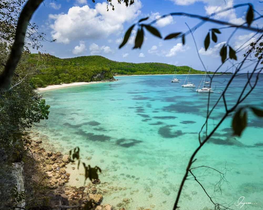 La Guadeloupe, l’île paradisiaque des Antilles
